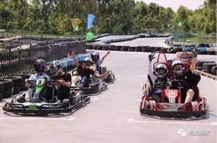 卡丁车成人高阶视频在线观看,卡丁车成人高阶技巧视频深度解析