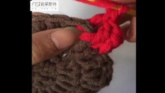 成人泡泡帽子教程简单视频,成人泡泡帽子教程视频概述