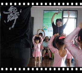 新学成人舞蹈视频,轻松入门，舞动人生新篇章