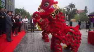 舞狮表演道具成人单人视频,单人视频带你领略传统技艺魅力