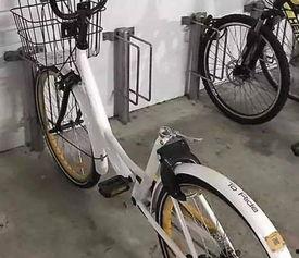 成人学单车的诀窍视频,成人学车视频诀窍解析